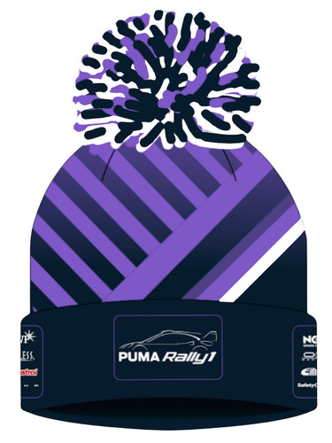 Official ford motorsport wrc - ford,