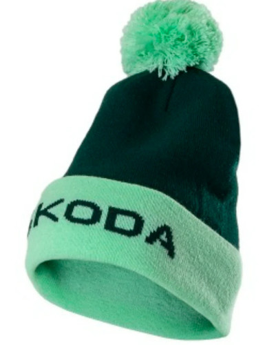 Official skoda motorsport wrc - official,